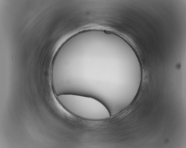 X0000112801247200908210955