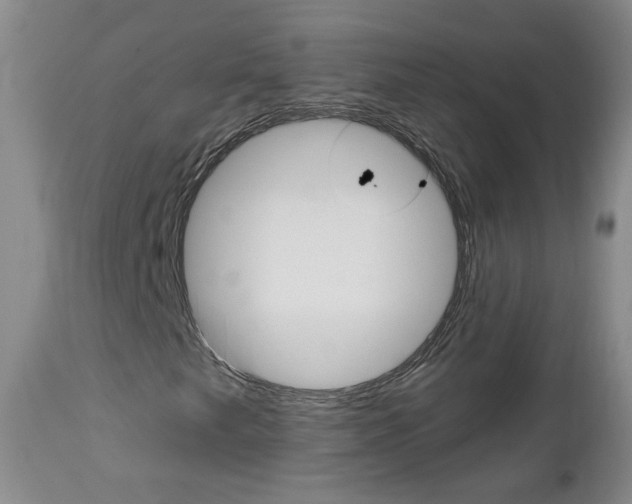 X0000112801249200908210955