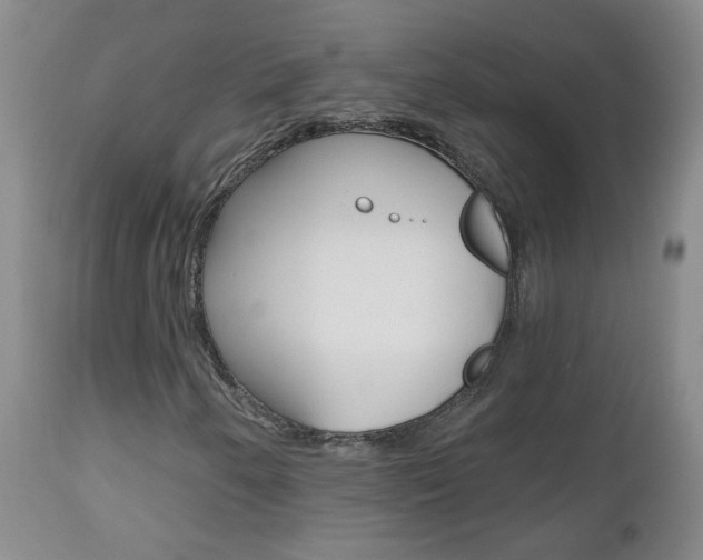 X0000112801250200908210955