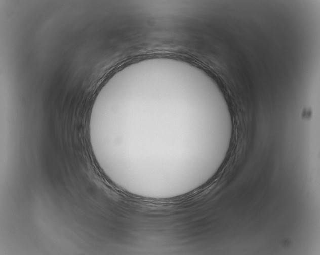 X0000112801252200908210955