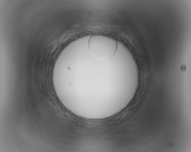 X0000112801253200908210954