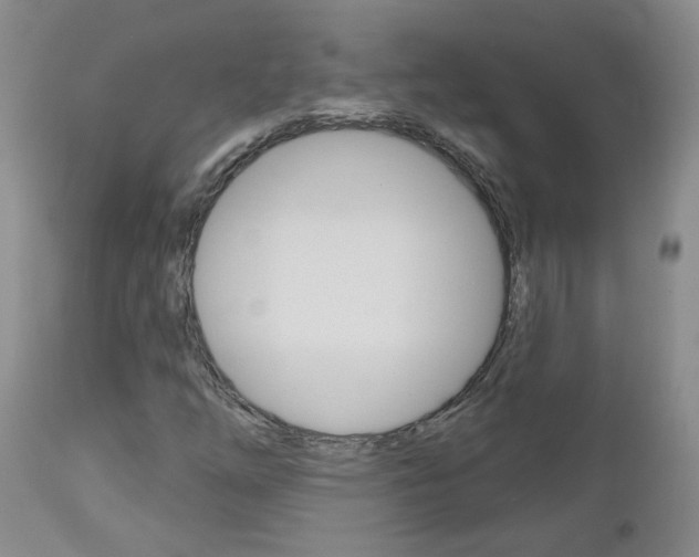 X0000112801254200908210954