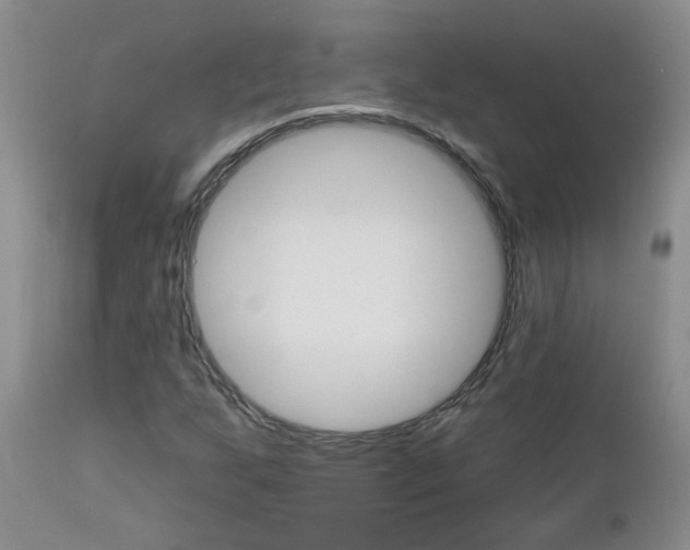 X0000112801255200908210954