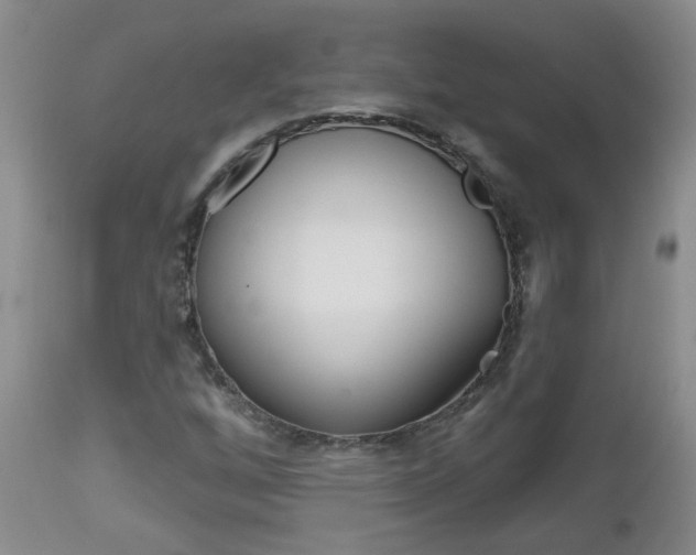 X0000112801256200908210954