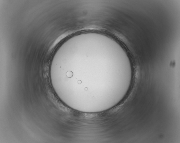 X0000112801258200908210954