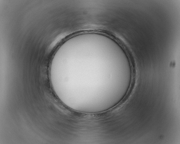 X0000112801259200908210954