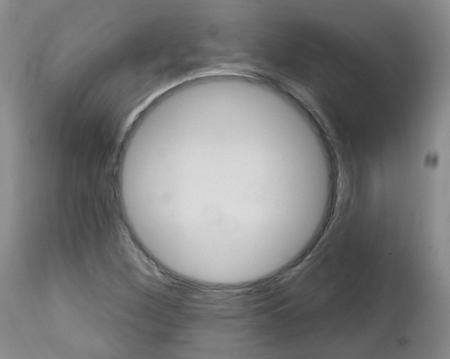 X0000112801260200908210954