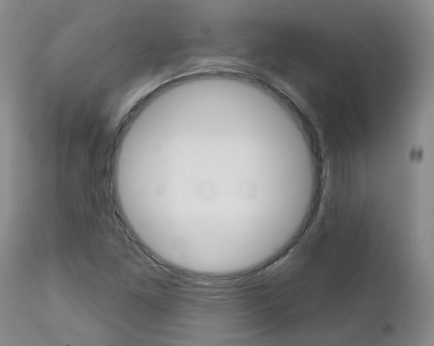 X0000112801261200908210954