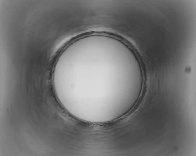 X0000112801263200908210954