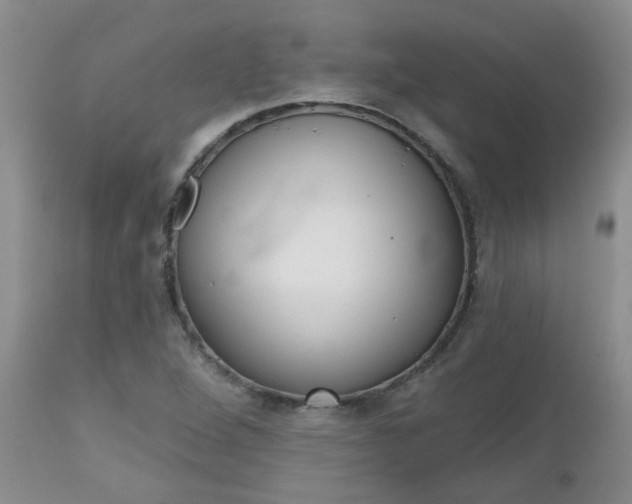 X0000112801264200908210954