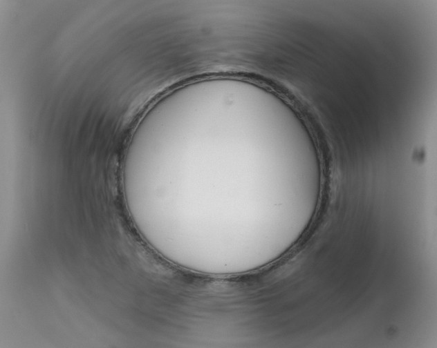 X0000112801265200908210954