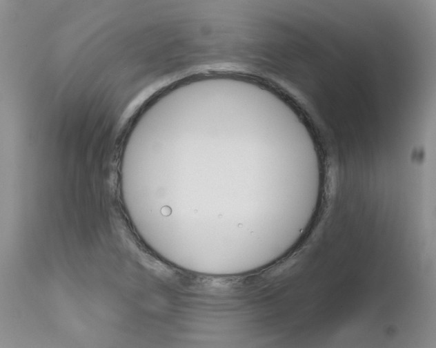 X0000112801266200908210954