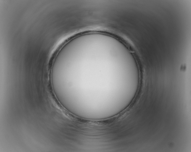 X0000112801270200908210954