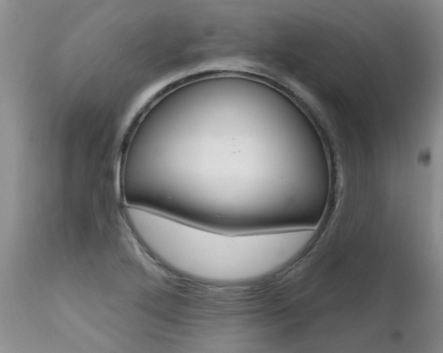 X0000112801272200908210954