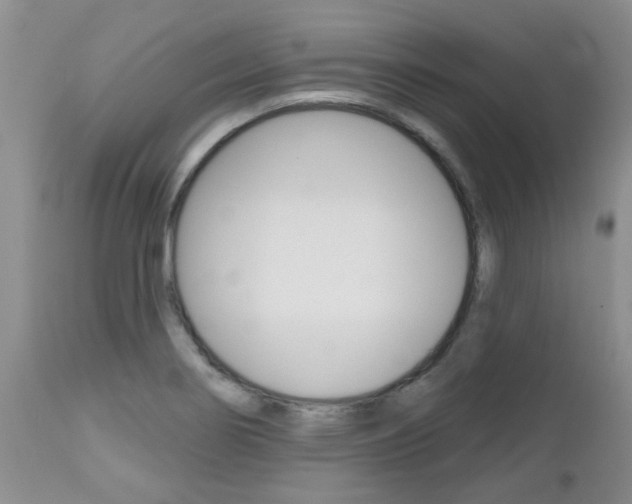 X0000112801274200908210954