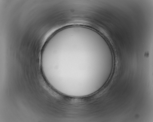 X0000112801275200908210954