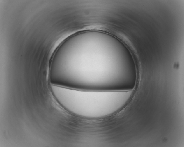 X0000112801276200908210954