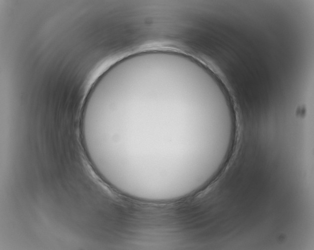 X0000112801277200908210954