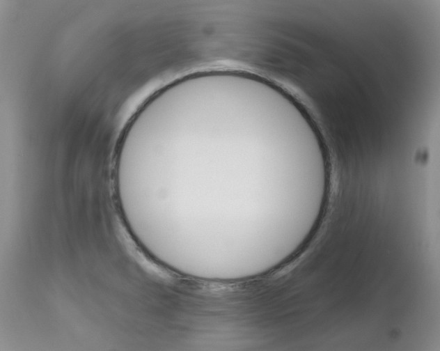 X0000112801278200908210954