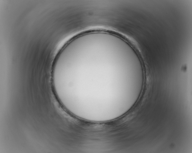 X0000112801279200908210954