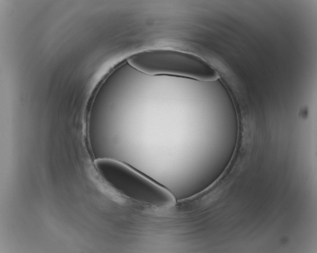 X0000112801280200908210954