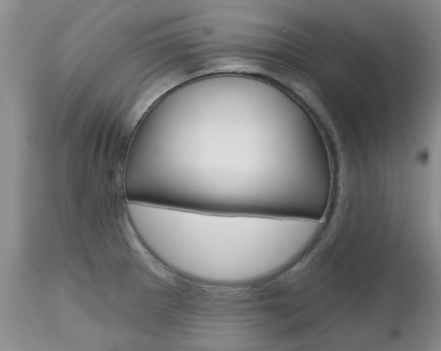 X0000112801281200908210954