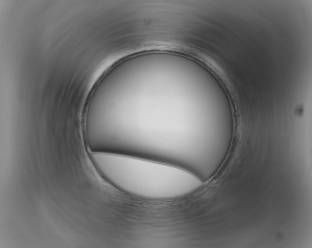 X0000112801283200908210954