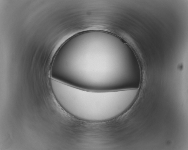 X0000112801284200908210954