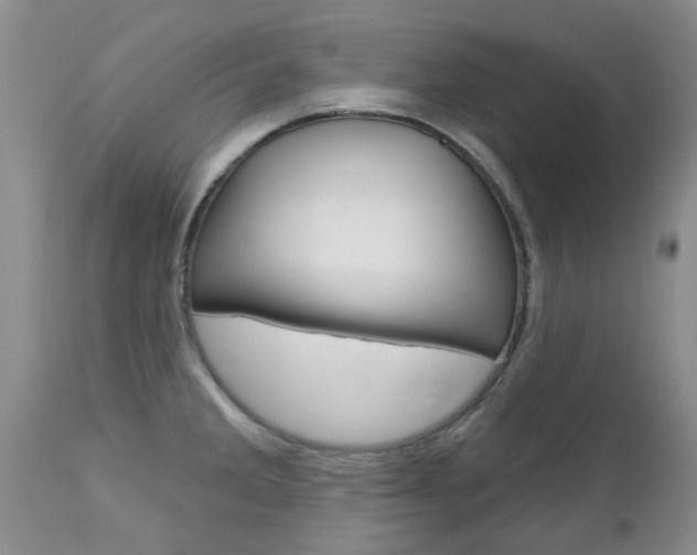 X0000112801285200908210954