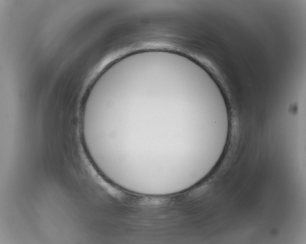 X0000112801286200908210954