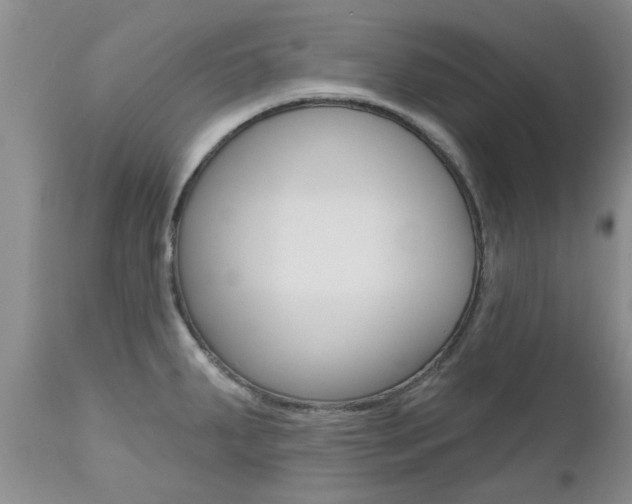 X0000112801287200908210954