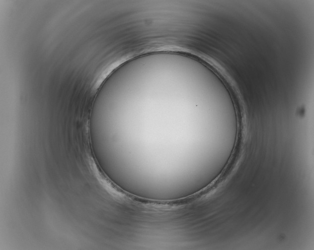 X0000112801289200908210954