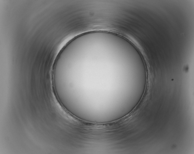 X0000112801291200908210954