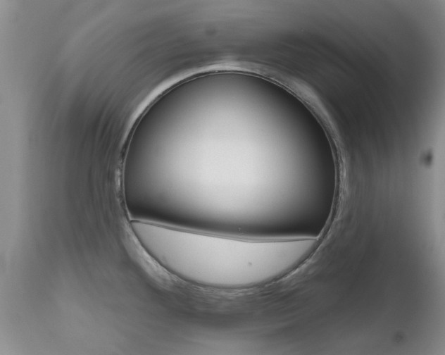 X0000112801292200908210954