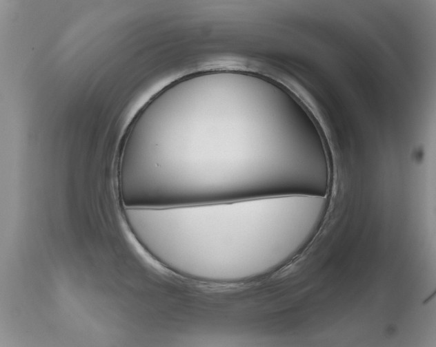X0000112801293200908210954