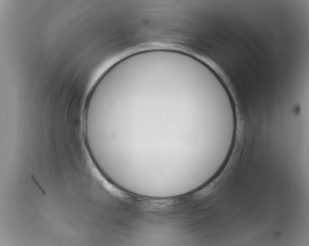 X0000112801294200908210954