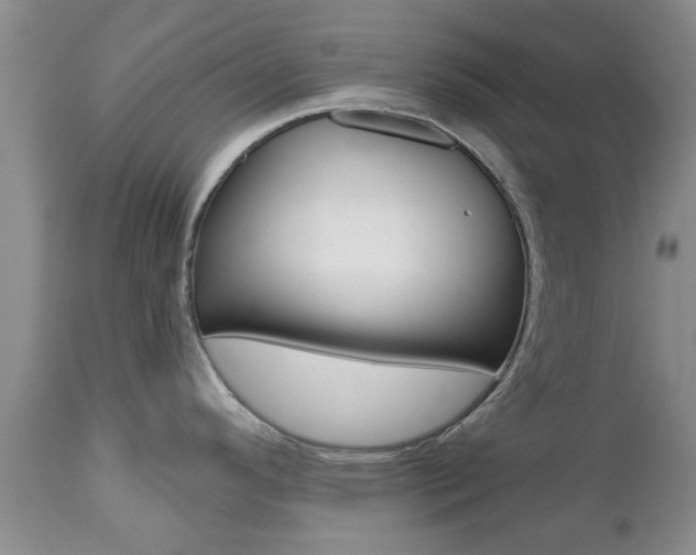 X0000112801296200908210954