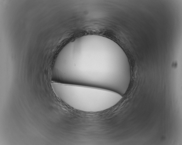 X0000112801297200908210953