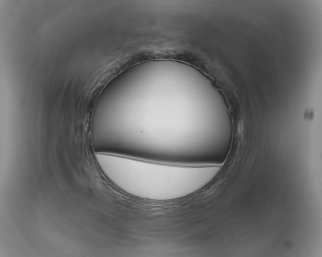 X0000112801300200908210953