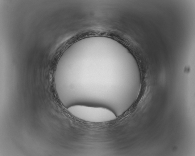 X0000112801302200908210953