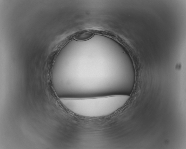 X0000112801303200908210953