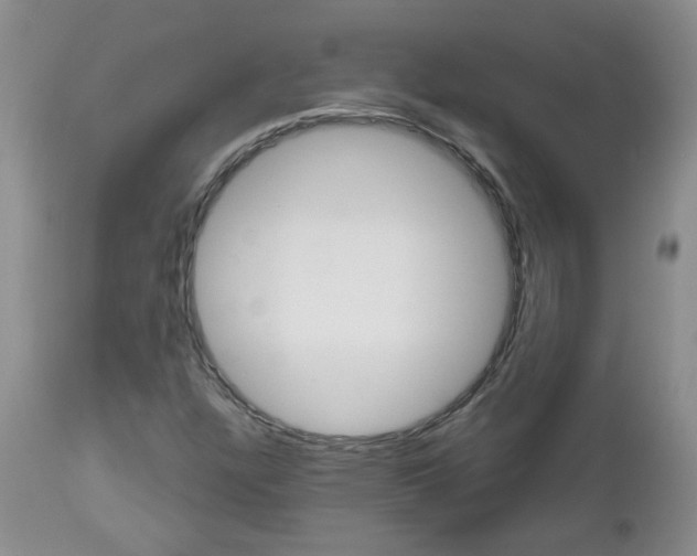 X0000112801304200908210953