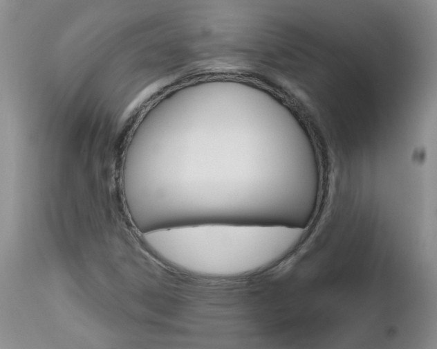 X0000112801306200908210953