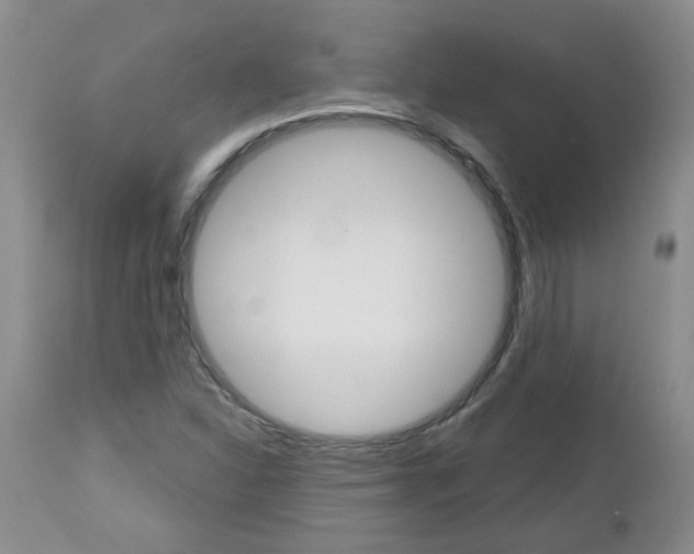 X0000112801310200908210953