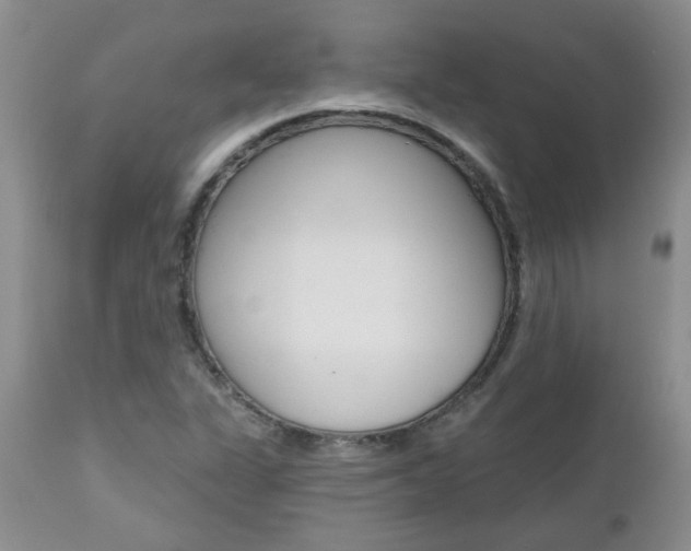 X0000112801311200908210953