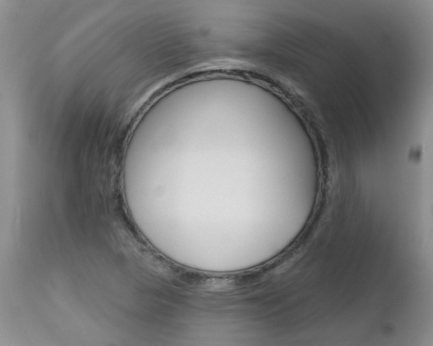 X0000112801313200908210953