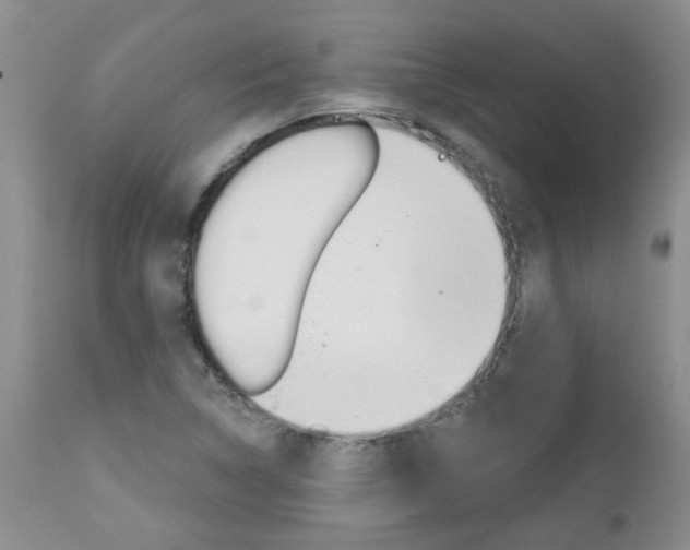 X0000112801314200908210953