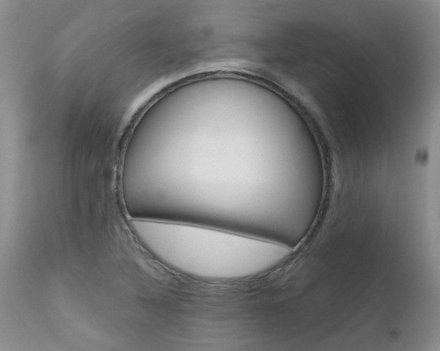 X0000112801316200908210953