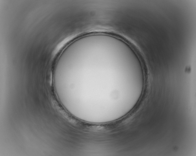 X0000112801317200908210953