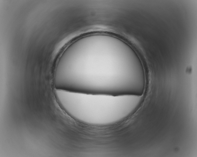 X0000112801318200908210953